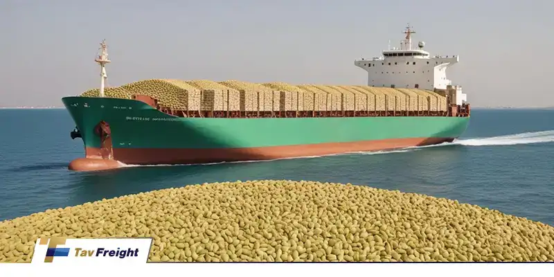 صادرات پسته 